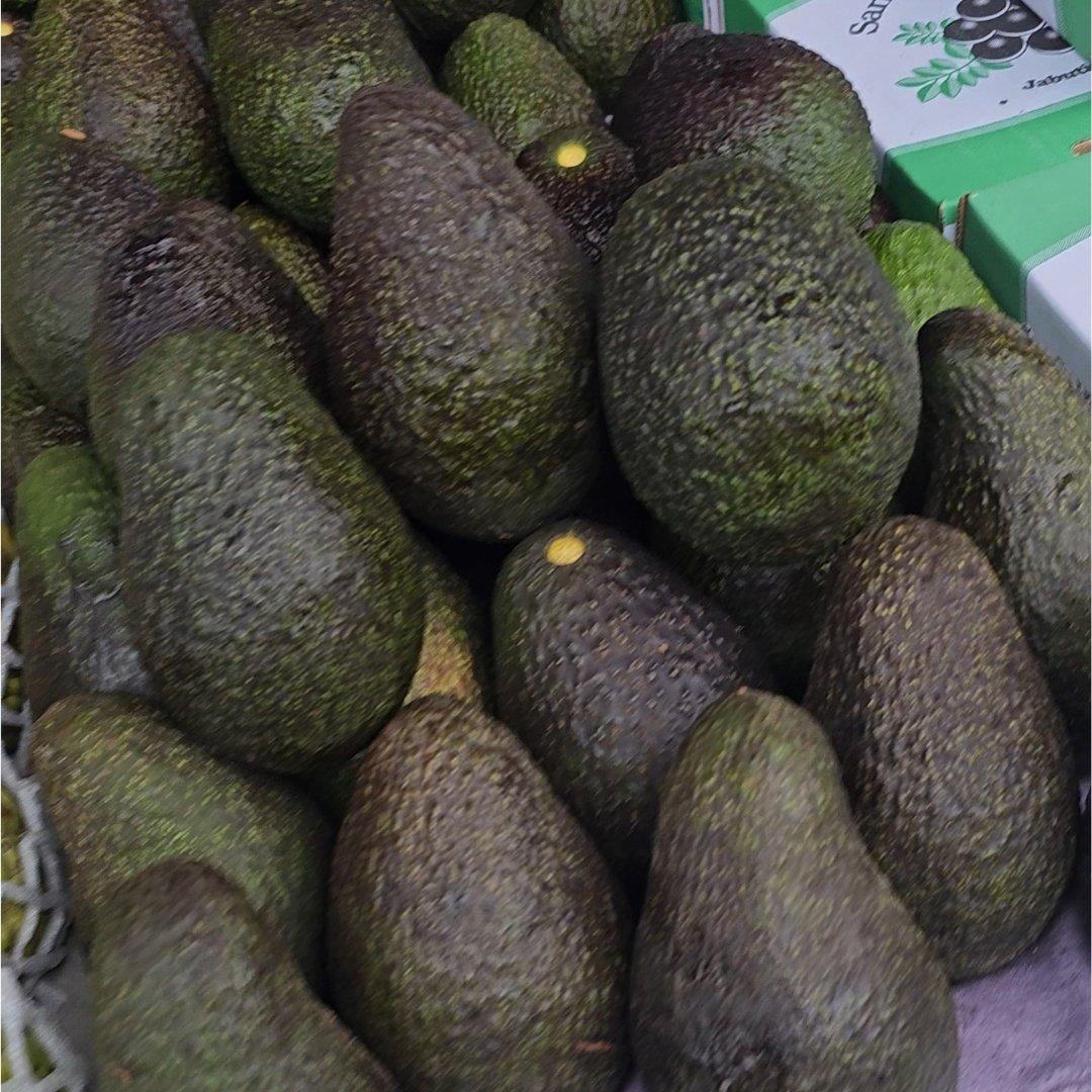 Avocado