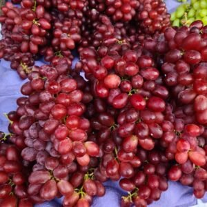 Uva sem semente Vermelha