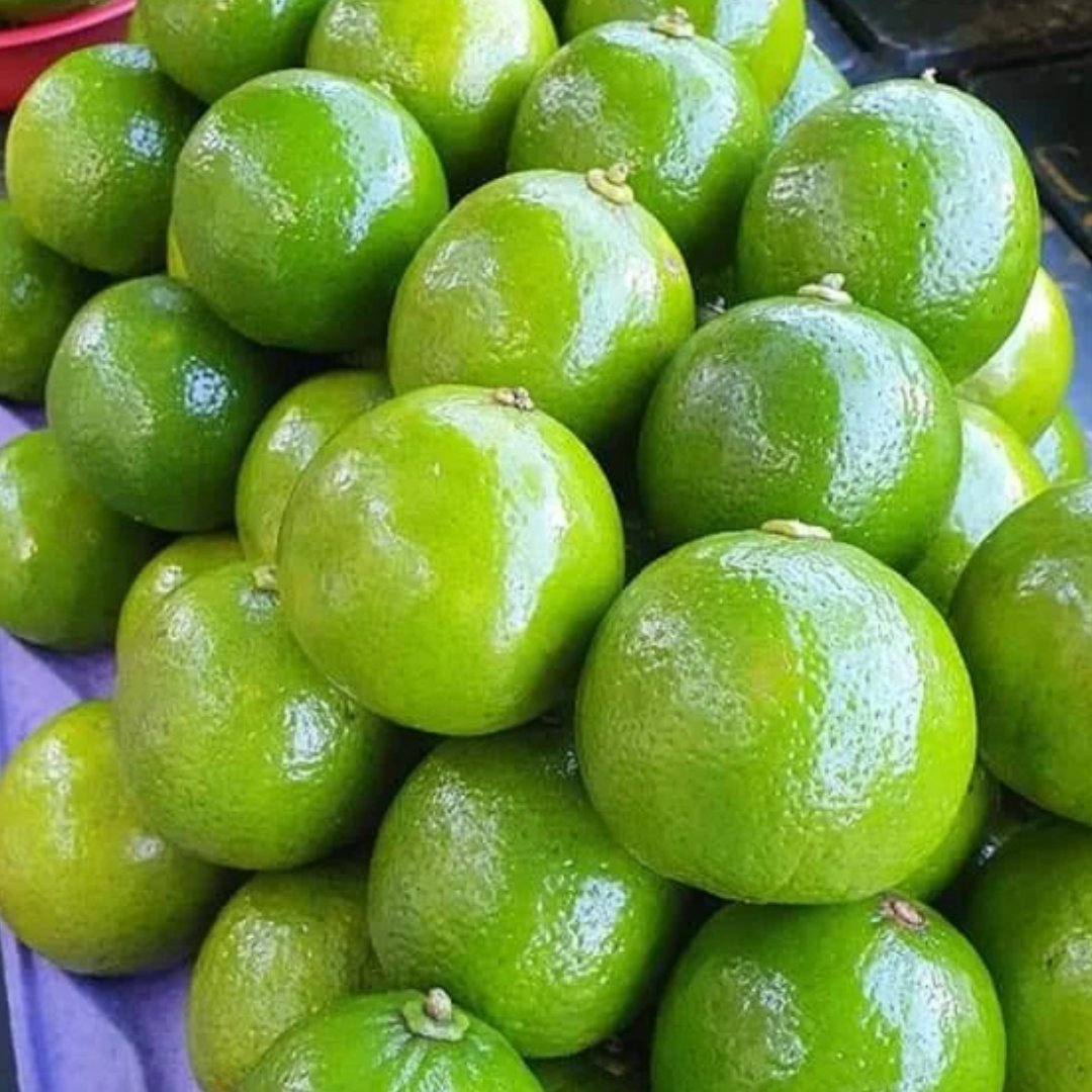 Limão Taiti
